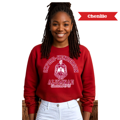 [CHENILLE] Delta Sigma Theta Chapter Sweatshirt or Hoodie - OXFORD-HENDERSON ALUMNAE (Copy)