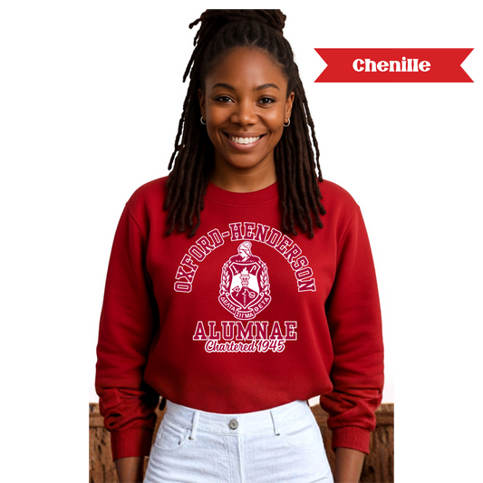 [CHENILLE] Delta Sigma Theta Chapter Sweatshirt or Hoodie - OXFORD-HENDERSON ALUMNAE (Copy)
